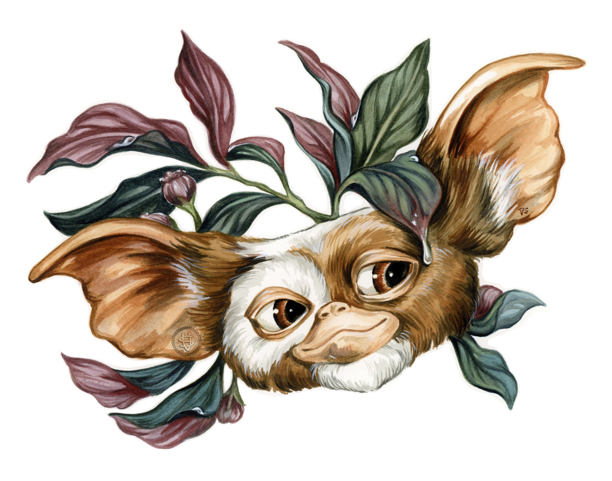 Original Gizmo – vsteiner