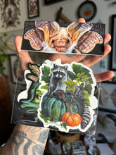 Load image into Gallery viewer, Fall Review - sticker pack of 5