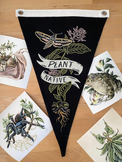 Plant Native Pennant