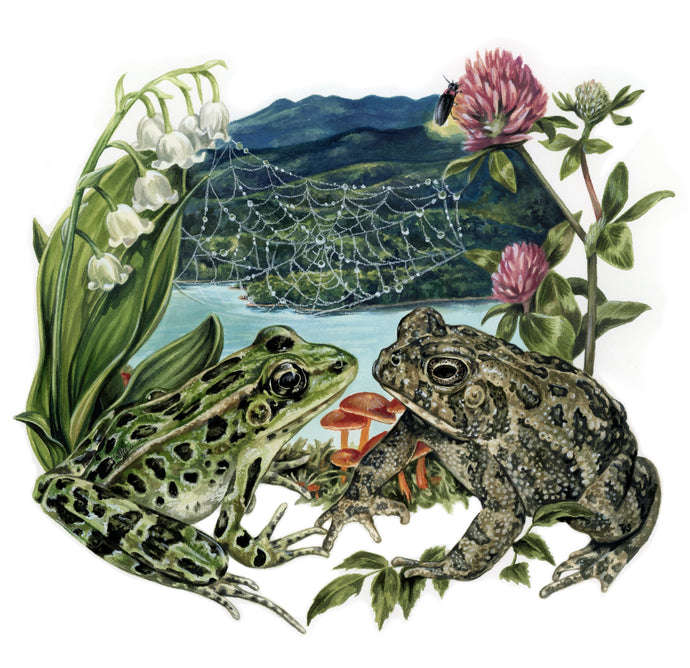 V Steiner Art – vsteiner
