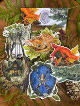Load image into Gallery viewer, Fall Forest - sticker pack of 5