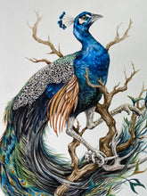 Load image into Gallery viewer, Peacock + Antler original
