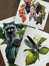 Load image into Gallery viewer, Raccoon odd set