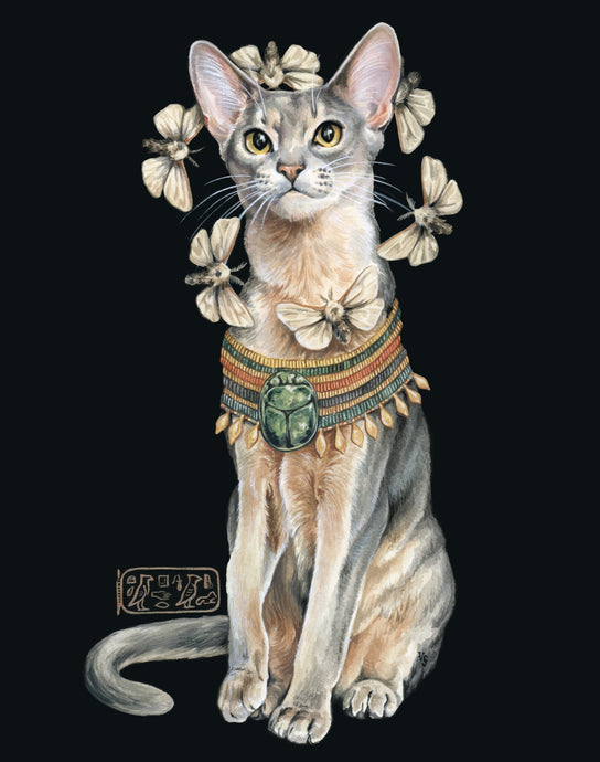 V Steiner Art – vsteiner