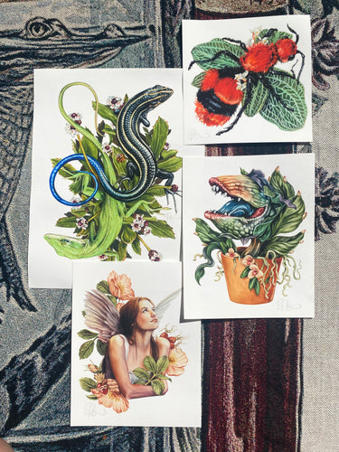 Skink odd set