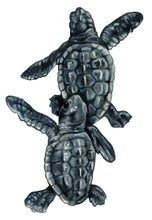 Load image into Gallery viewer, Loggerhead Sea Turtles mini