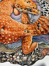 Load image into Gallery viewer, Leopard Gecko + agate original