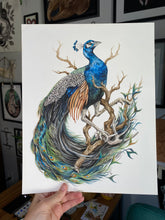 Load image into Gallery viewer, Peacock + Antler original