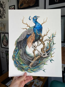Peacock + Antler original
