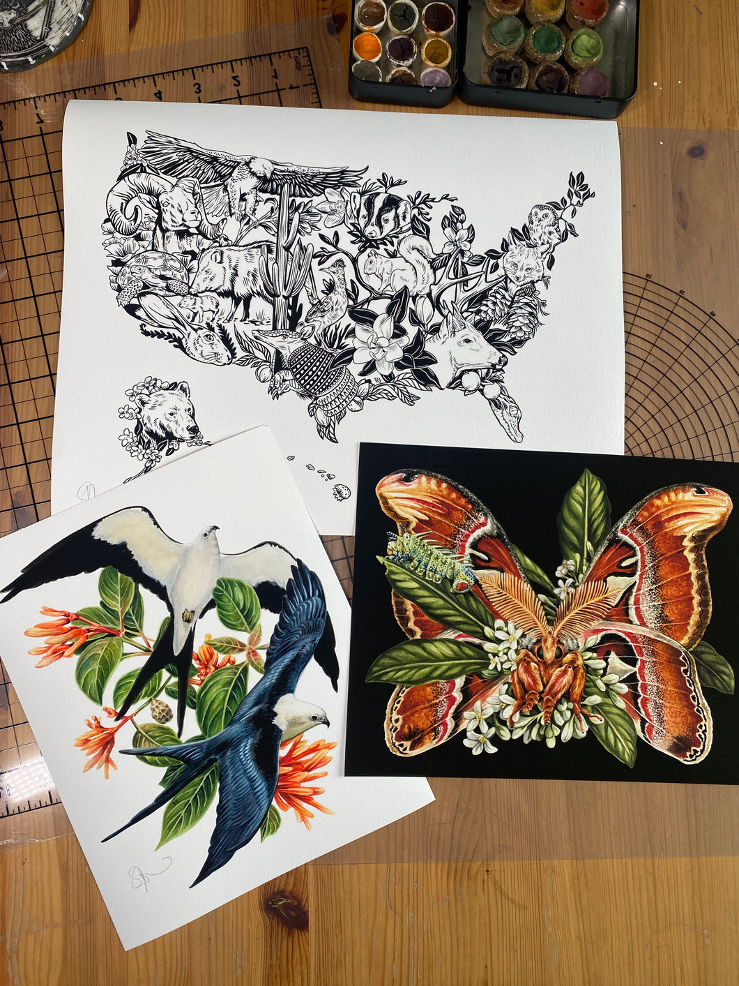 United by Nature set