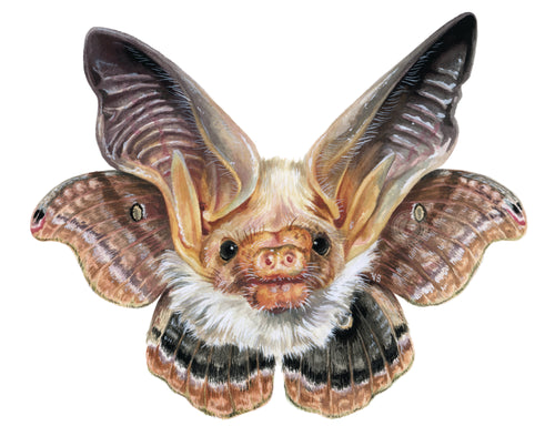 Skypuppy