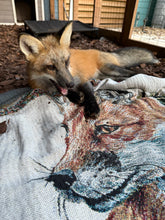 Load image into Gallery viewer, Fall Fox Blanket/Tapestry