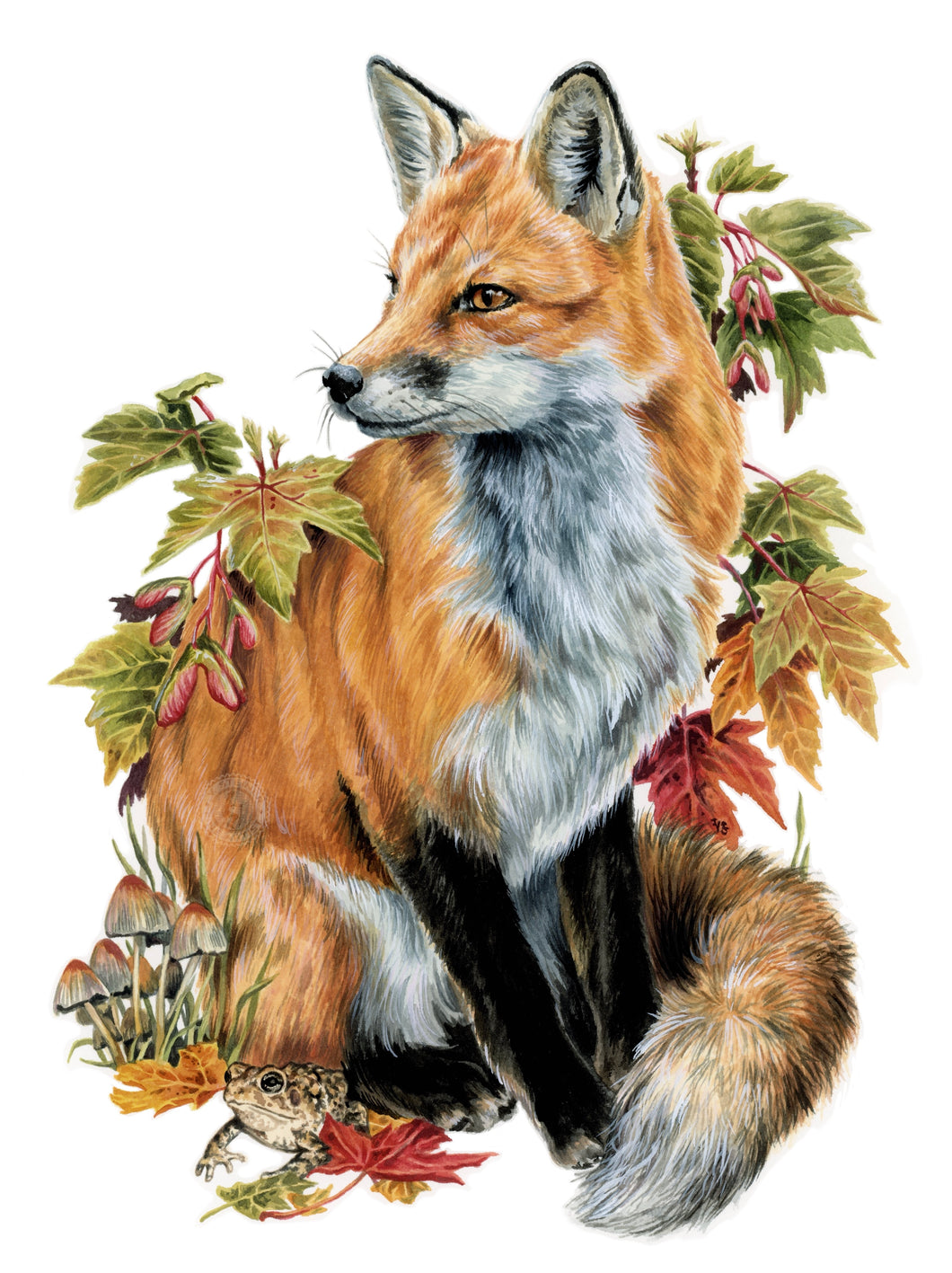 Fall Fox