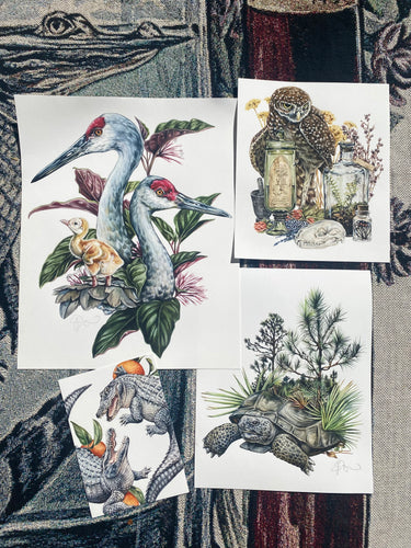 Cranes odd set