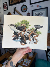 Load image into Gallery viewer, Orca Original