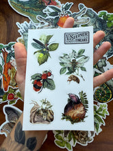 Load image into Gallery viewer, Let Them Live - Bumper Sticker