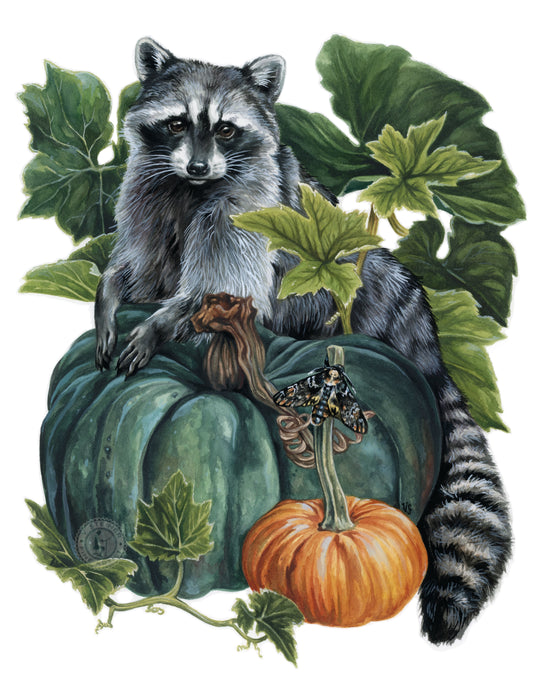 Pumpkin Patch