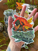 Load image into Gallery viewer, Fall Forest - sticker pack of 5