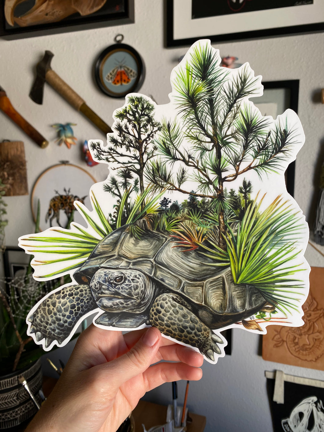 XL Sticker Tortoise