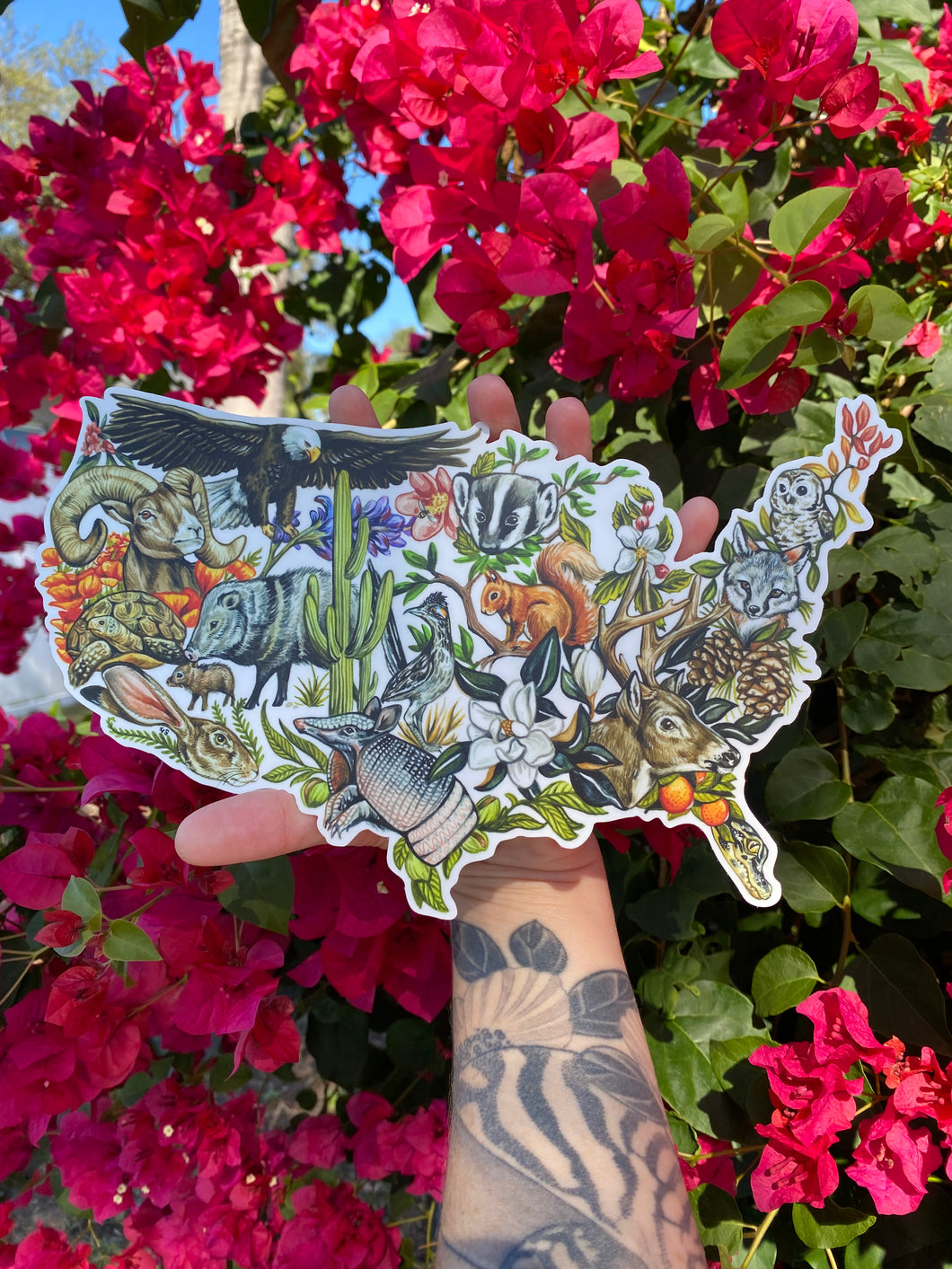 XL Sticker United by Nature