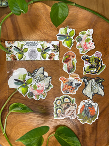 Mini stickers- pack of 8