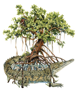 The Mangrove Tree original