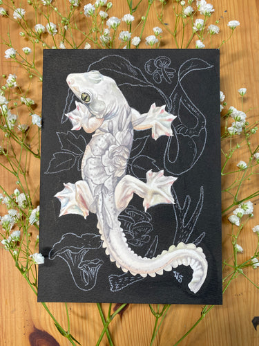 Flying Gecko original