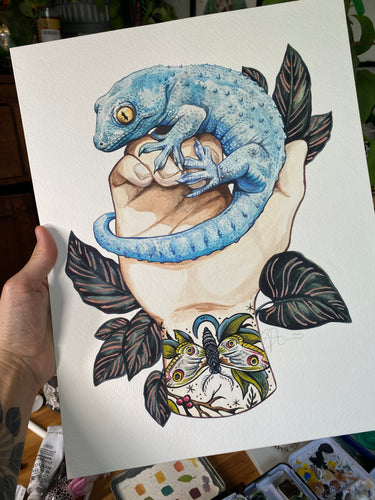 Tokay original