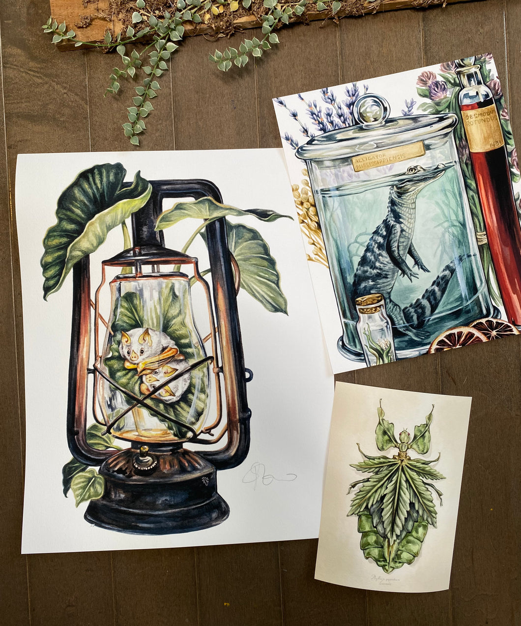 Lantern odd set