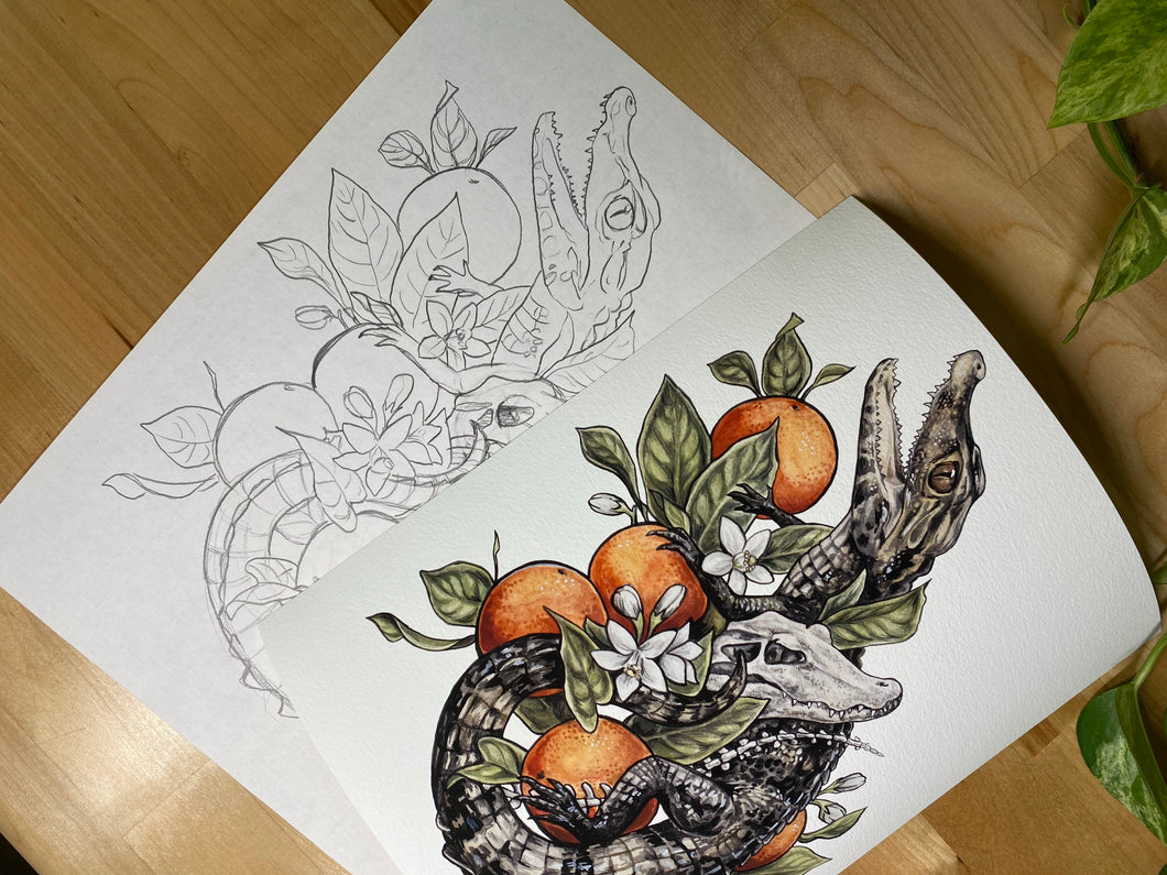 Caiman original sketch and print