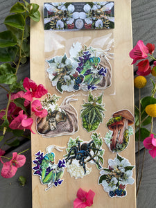 Insect sticker pack of 6