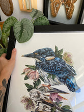 Load image into Gallery viewer, ‘Torch’ Kingfisher original