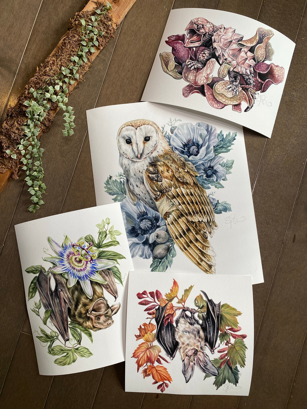 Owl Odd sizes set