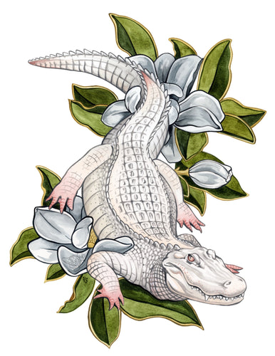 Albino Alligator + Magnolias
