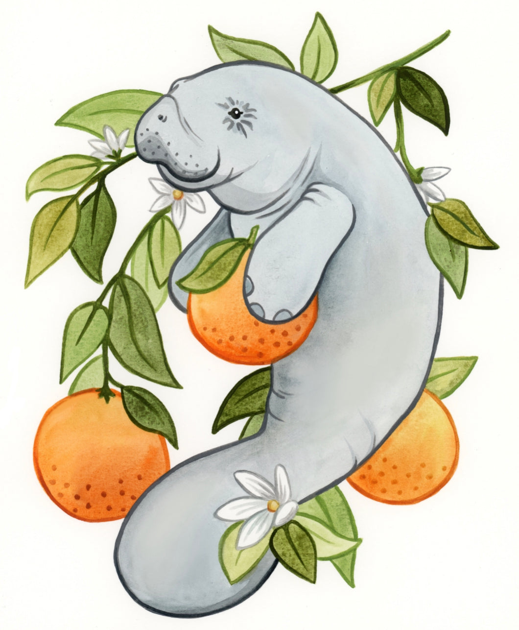 Original Nursery Room Manatee