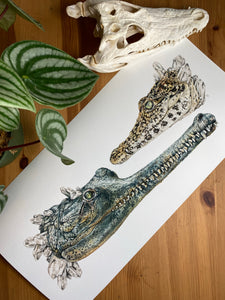 Gharial + Cuban Croc 10x20 giclee print