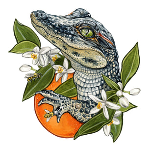 Gator + Bees