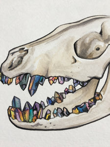 Skull with a grill