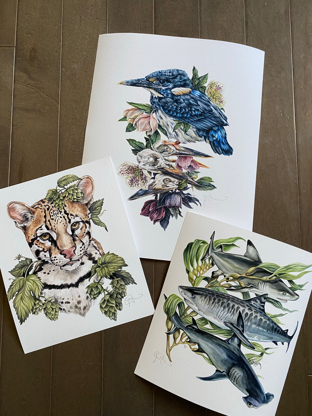 Kingfisher Misprint set