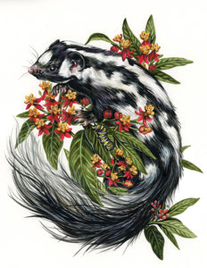 Spotted Skunk original painting