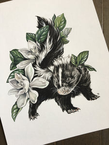 Original skunk baby