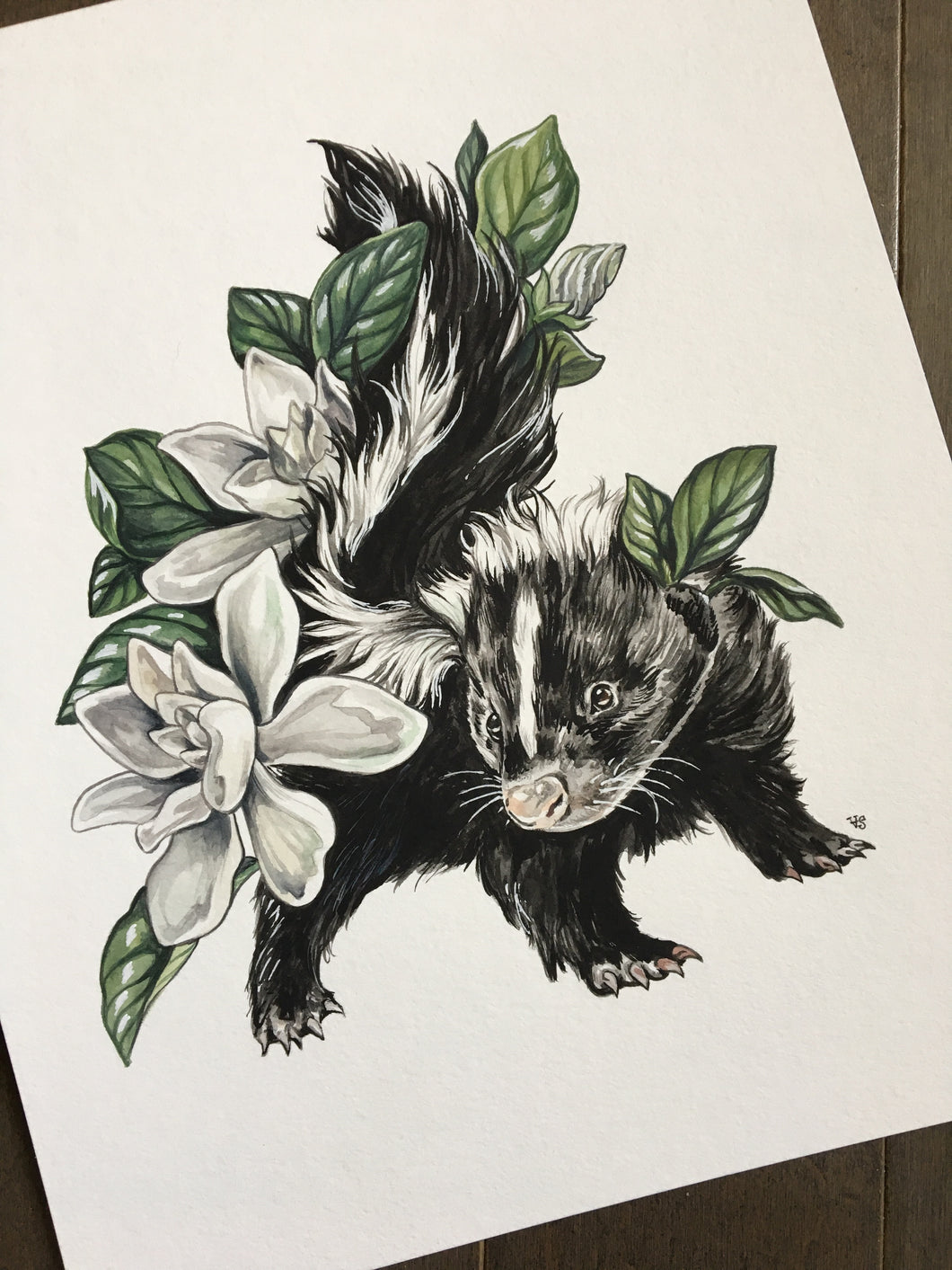Original skunk baby