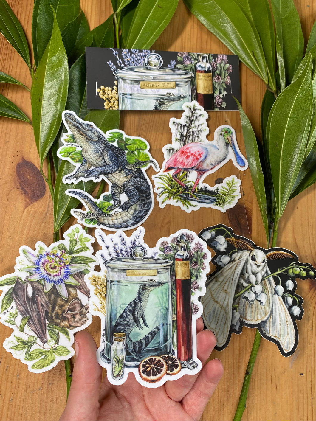 Apothecary - sticker pack of 5