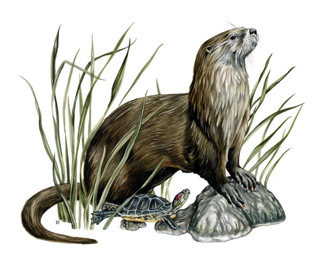 Otter + Slider