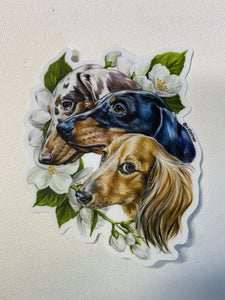 Dachshund Sticker