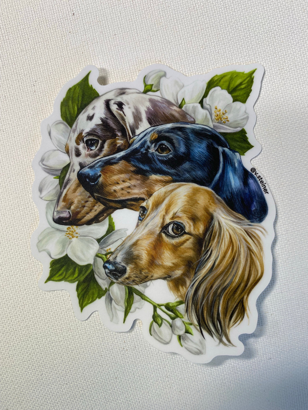 Dachshund Sticker