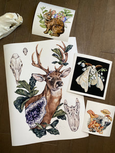 Misprint Buck set