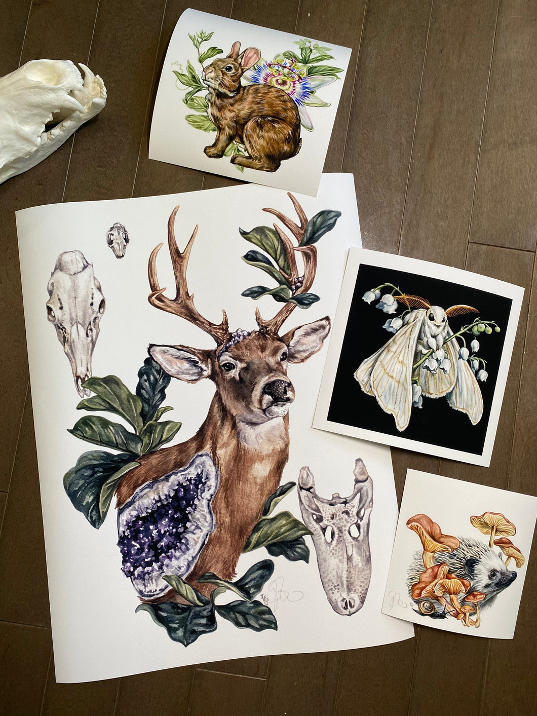 Misprint Buck set