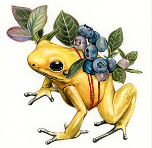 Lucky Dart Frog