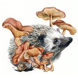Hedgehog + mushrooms